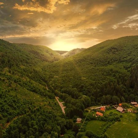 Medve Desag Ursul Hotel Sub Cetate Buitenkant foto