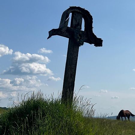 Medve Desag Ursul Hotel Sub Cetate Buitenkant foto