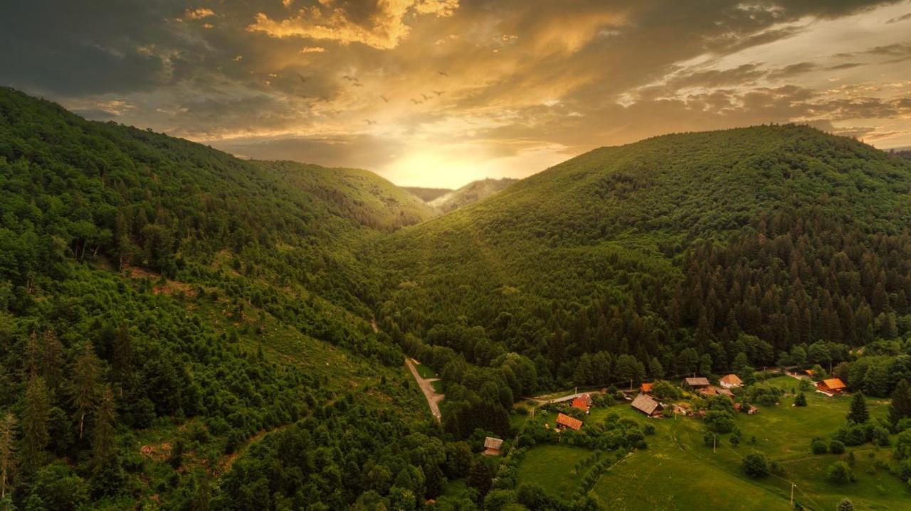 Medve Desag Ursul Hotel Sub Cetate Buitenkant foto