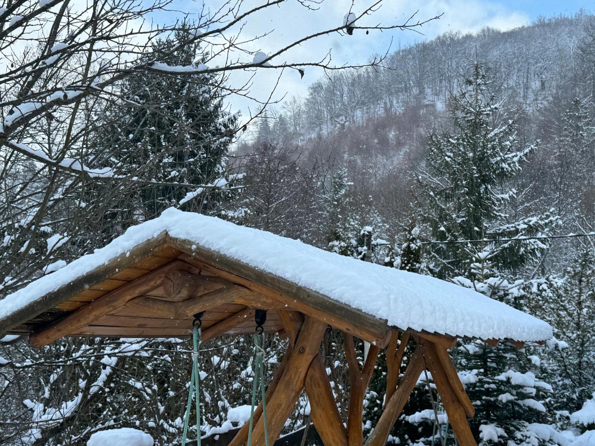 Medve Desag Ursul Hotel Sub Cetate Buitenkant foto